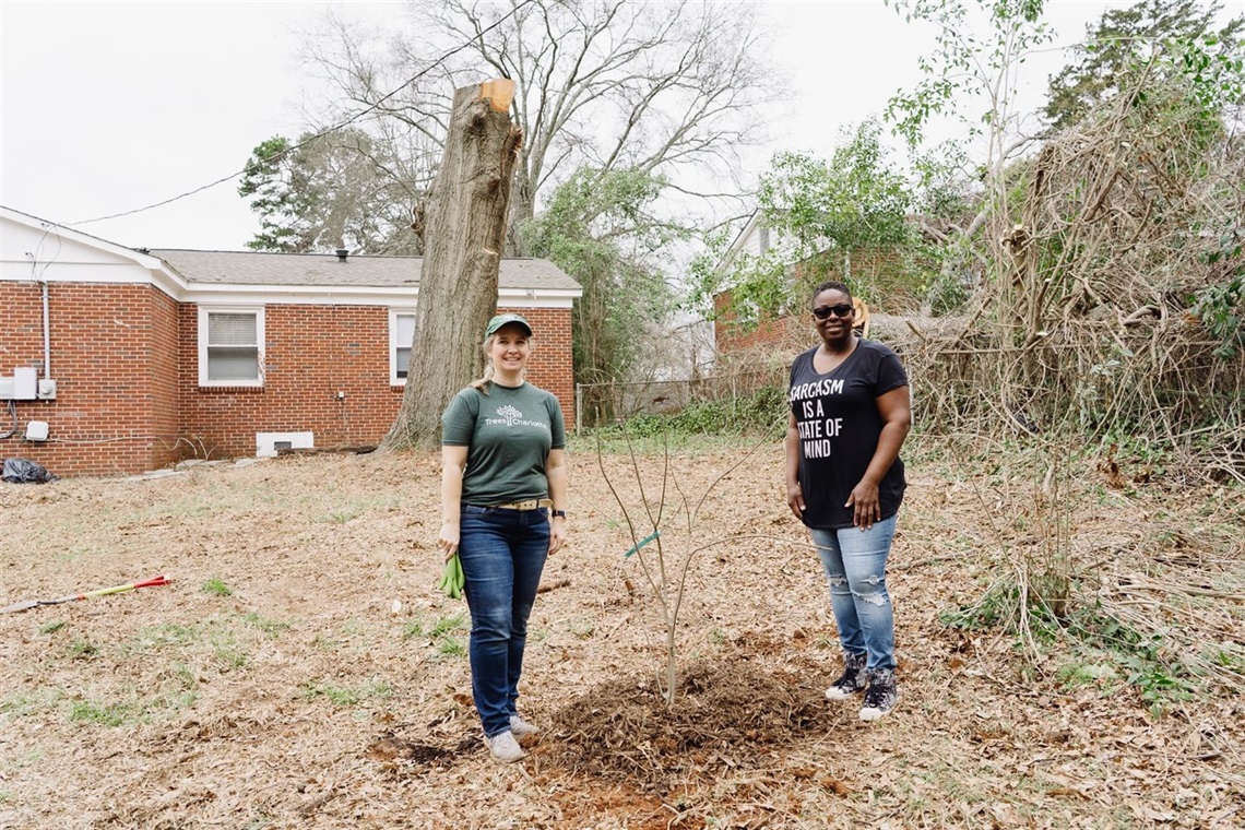 Two women plant a young tree in place of a recently-removed tree.