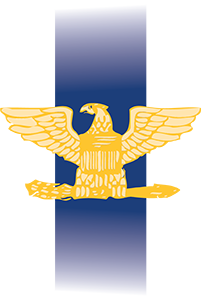 DC insignia eagle icon
