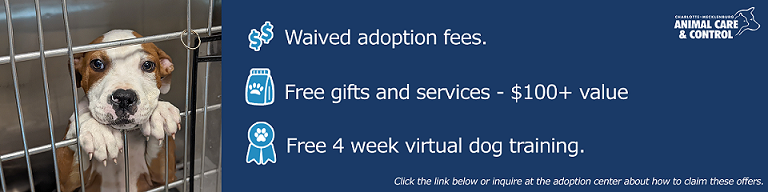 waived adoptions fees, free gifts and services, free 4 week virtual dog training for adopters