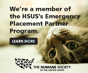 we're a member of the hsus's emergency placement partner program. this button takes you to the hsus website