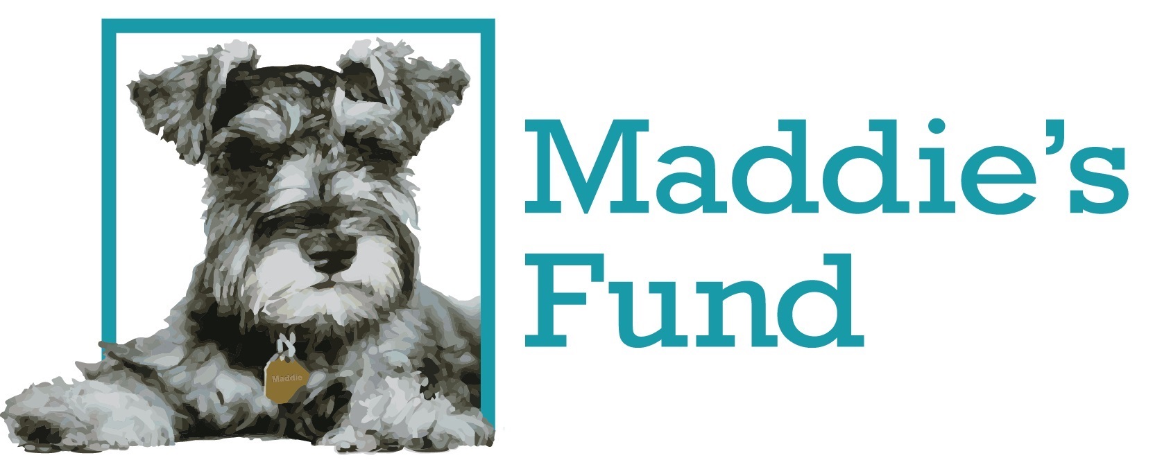 maddie's fund with a drawing a schnauzer dog
