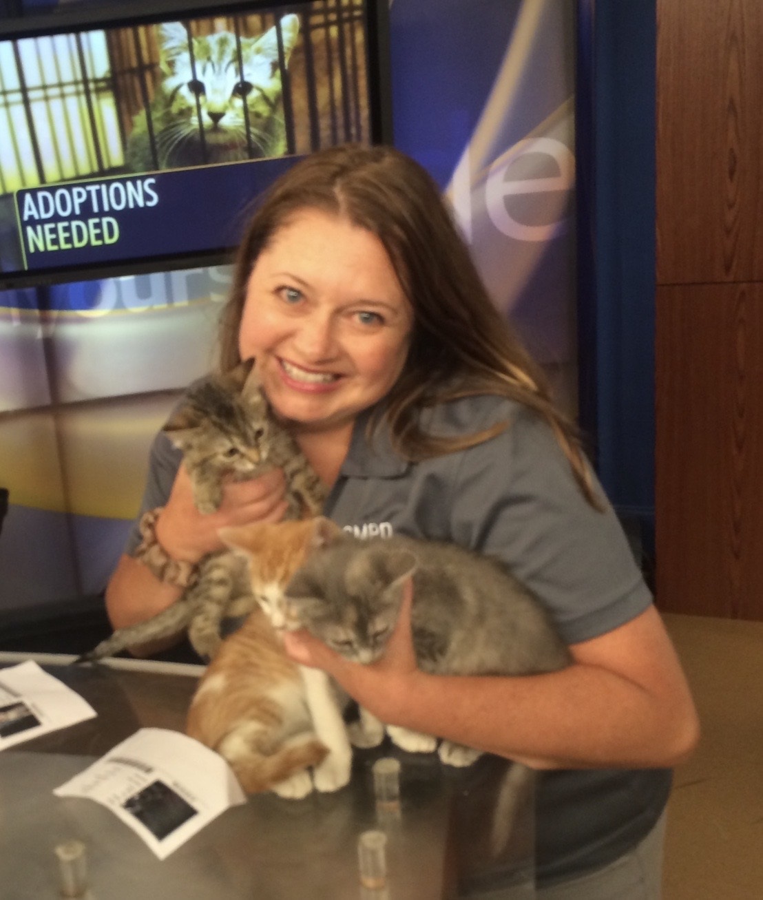 manager melissa knicely with kittens
