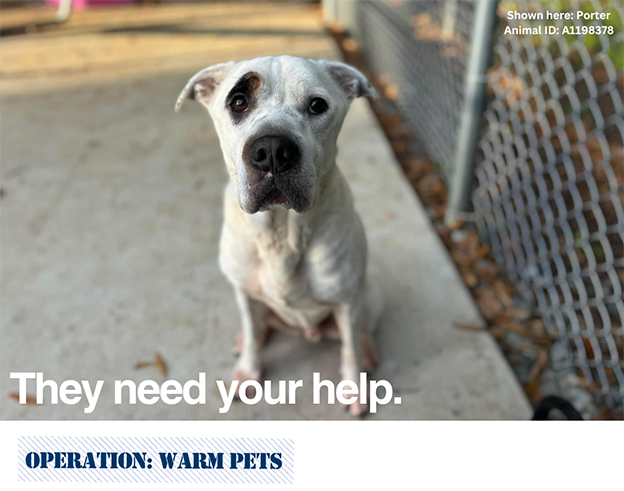 operation warm pets - they need your help