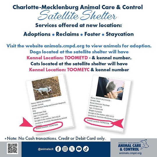 satellite shelter at 2700 toomey ave, charlotte offers adoptions, reclaims, foster, staycation services by appointment. animals at toomey show on the animal profile as toomey