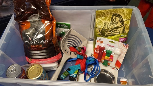 picture of pet supplies in a large tupperware bin as an example of a pet preparedness kit