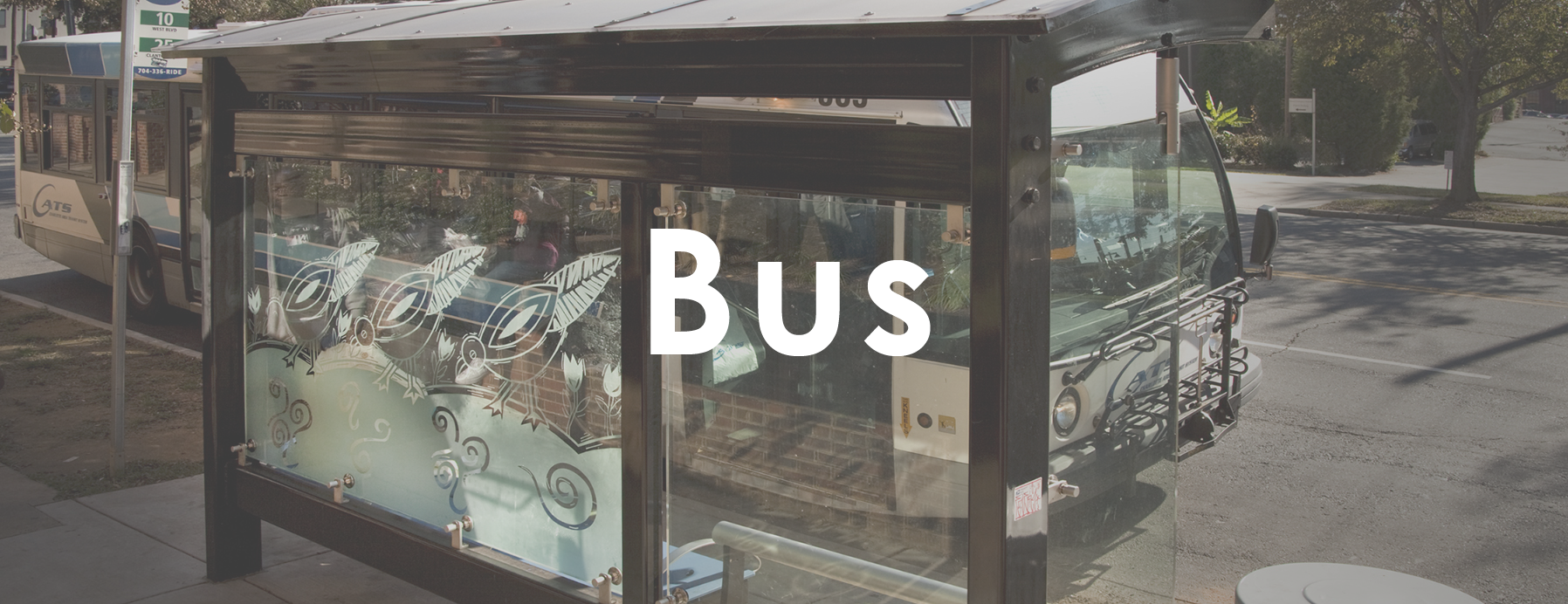 Bus-Header.png