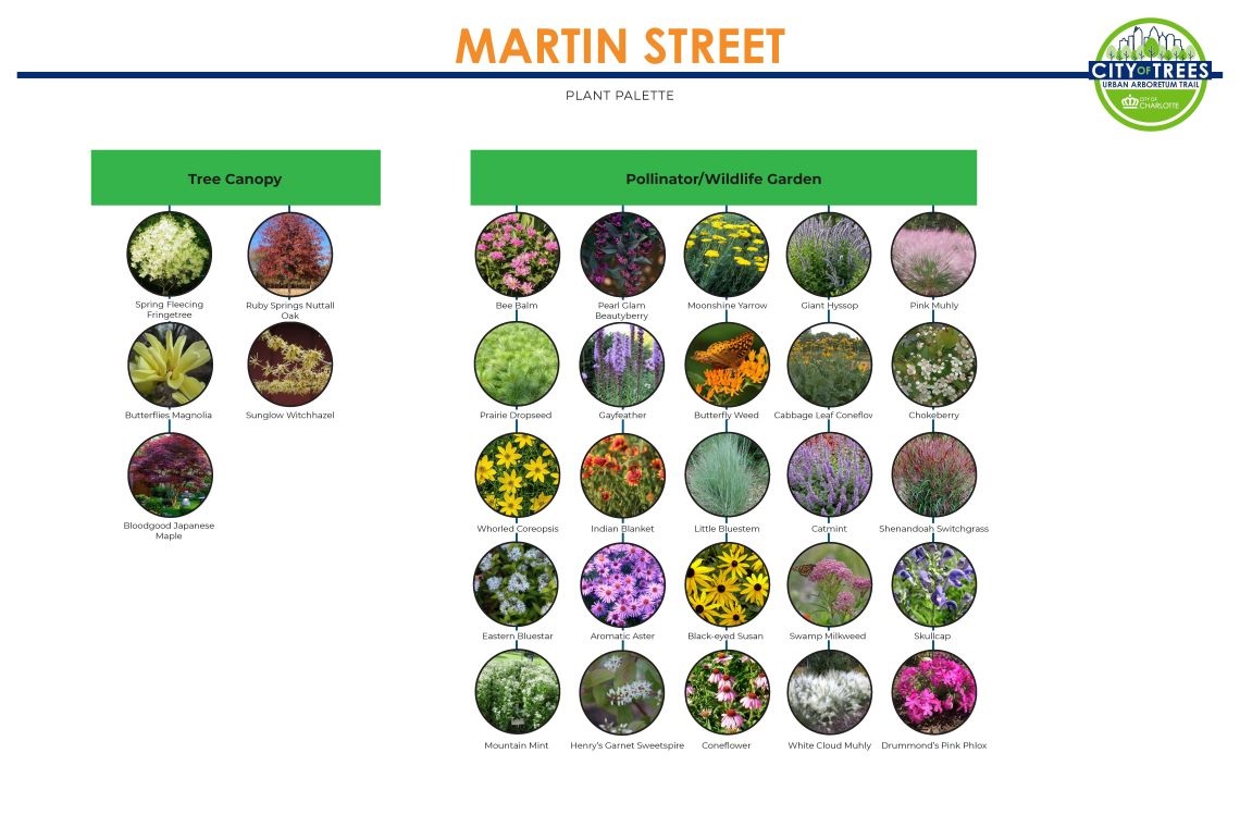 Martin-St-Final-Landscape-Design_Page_2WEB.jpg
