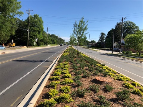View of widened Beatties Ford Road, taken from the large median with extensive landscaping