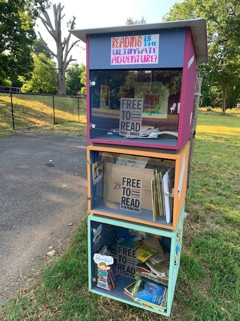 Image of Little Free Library in neighborhood