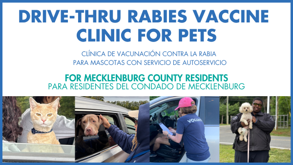 Information is below.