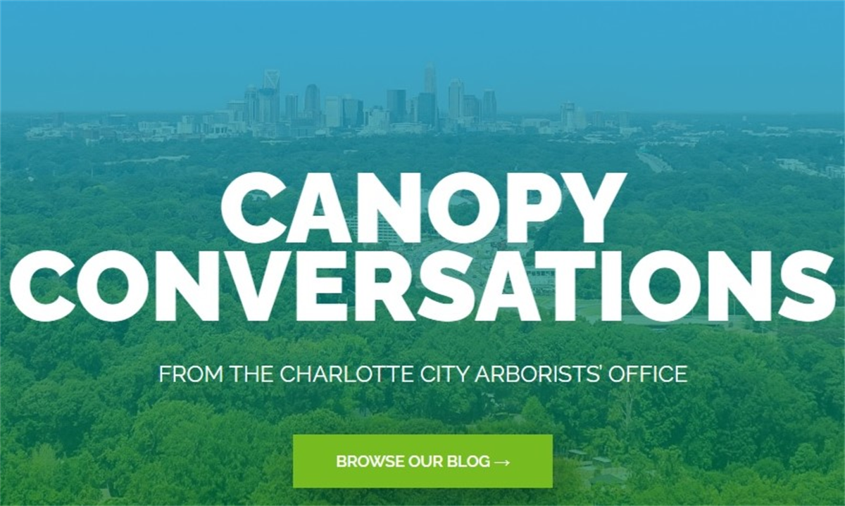 Canopy Conversations: City of Trees blog
