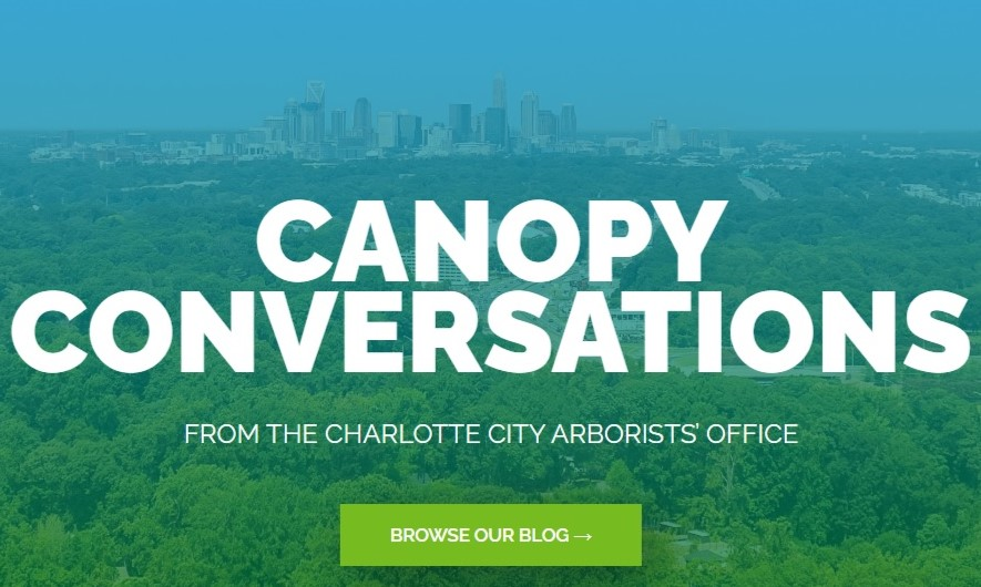 Canopy Conversations: from the Charlotte City Arborist's Office.
