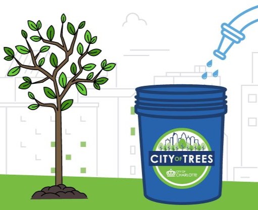 colorful illustration of a young tree next to a blue bucket with water from a hose being poured into it