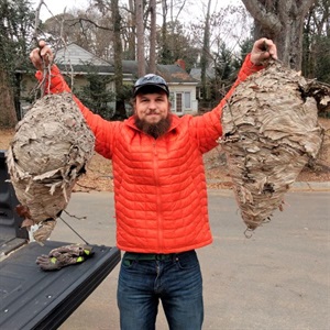 Josh Merwin standing near a truck tailgate holding two large hornets' nests