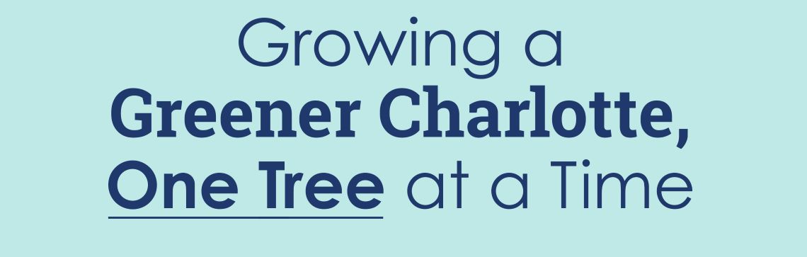 Growing a Greener Charlotte, One Tree at a Time
