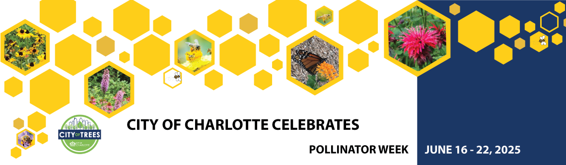 a honeycomb graphic interspersed with photos of flowers and insects with the words, 
