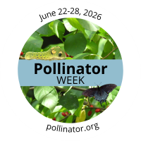 Pollinator Week: June 22-28, 2026