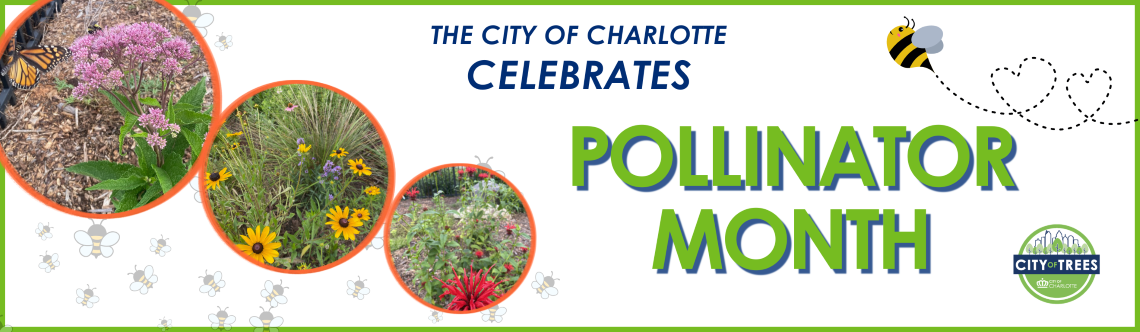 The City of Charlotte celebrates Pollinator Month