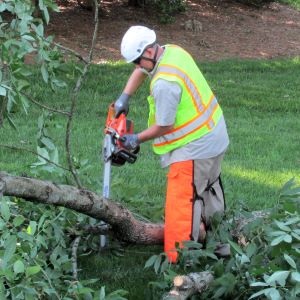 A worker in safety vest and hard hat with a chainsaw cutting a branch on the ground