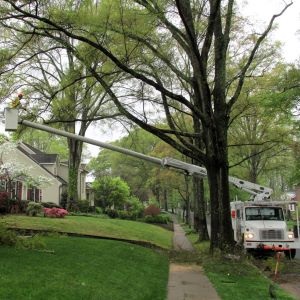 A bucket truck on the street with the bucket and tree worker extended in a large front yard