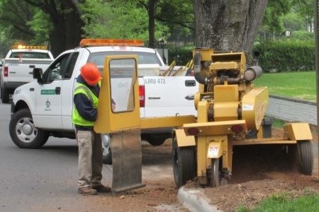 A worker operating a stump grinder on a residential street