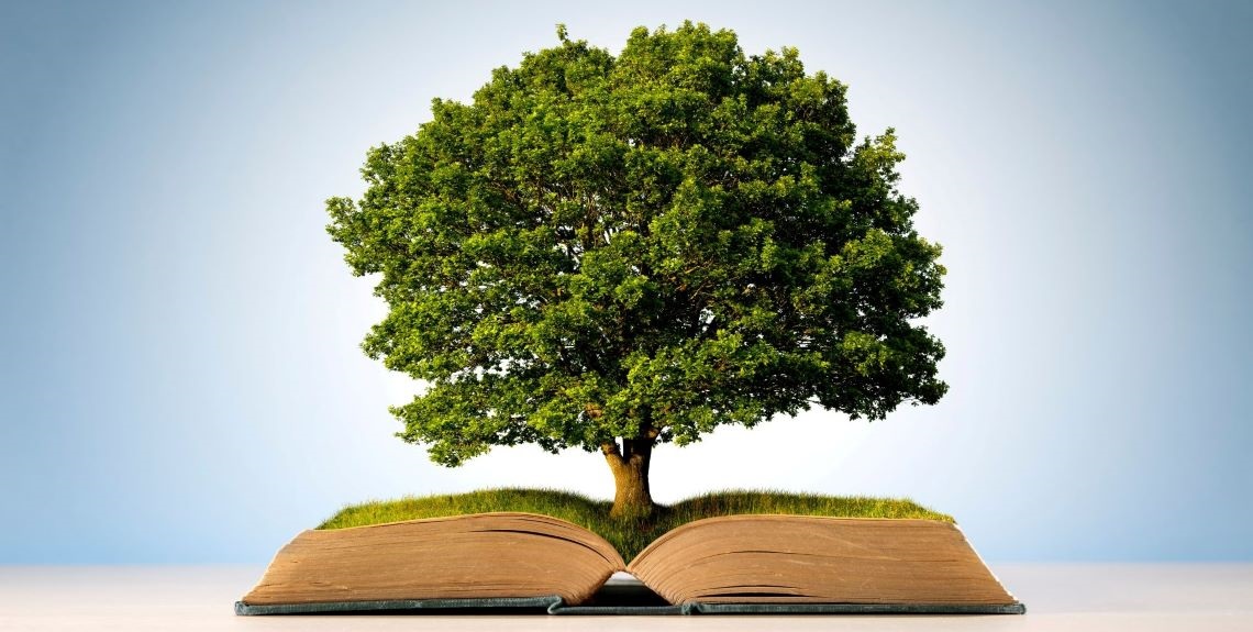 Tree Education shows a tree growing out of a book
