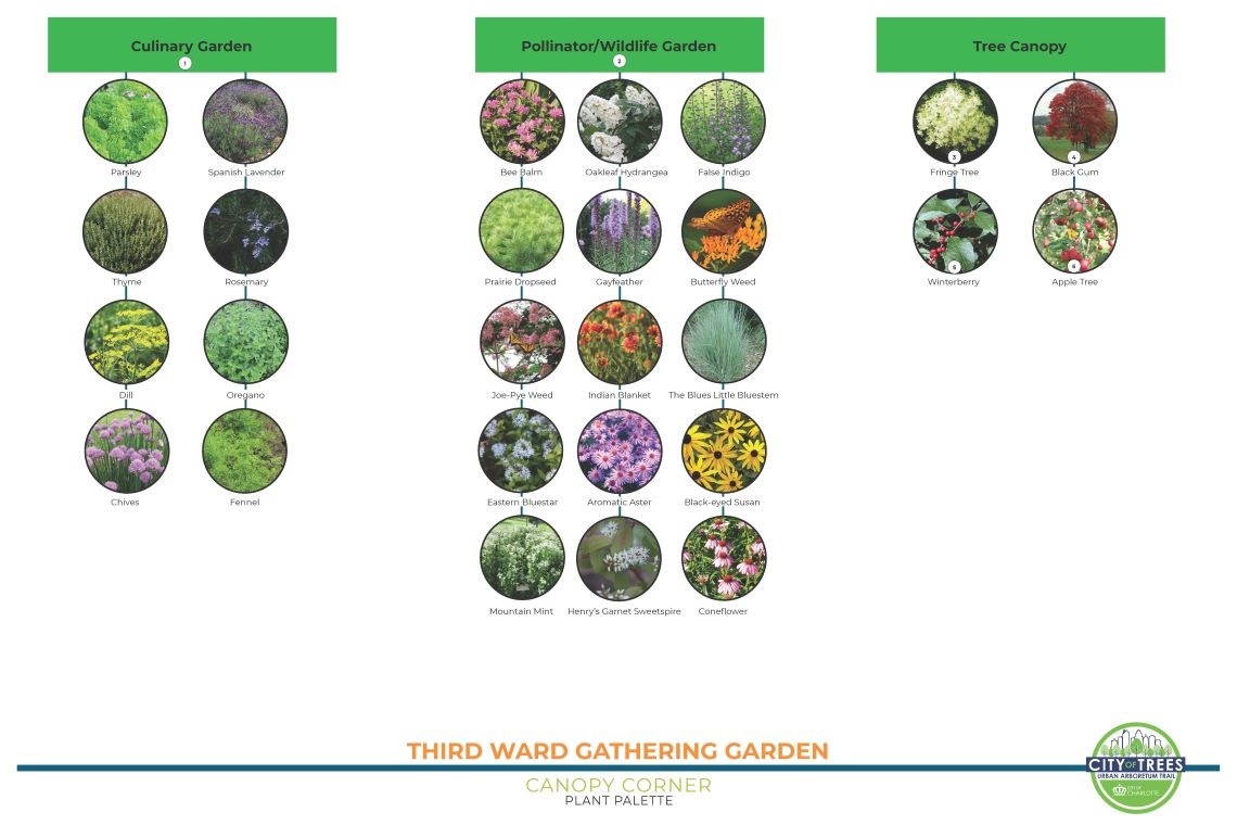 Third Ward Gathering Garden Landscape Plan with different plants and trees