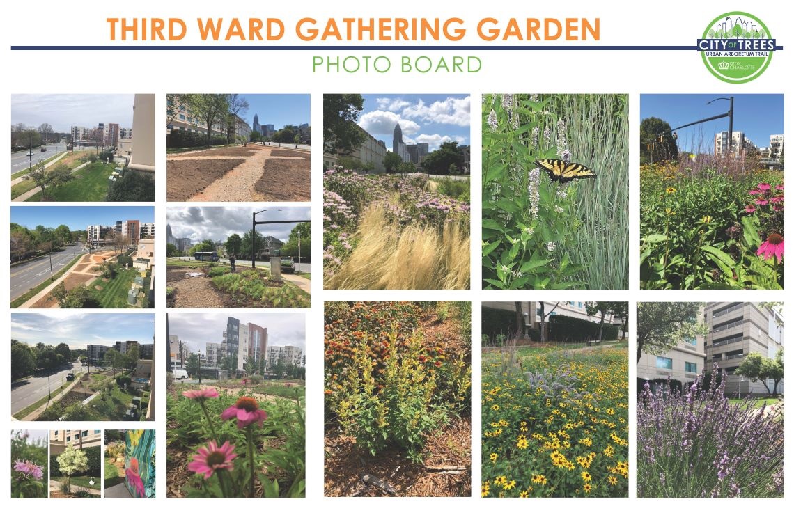 Third Ward Gathering Garden photo board
