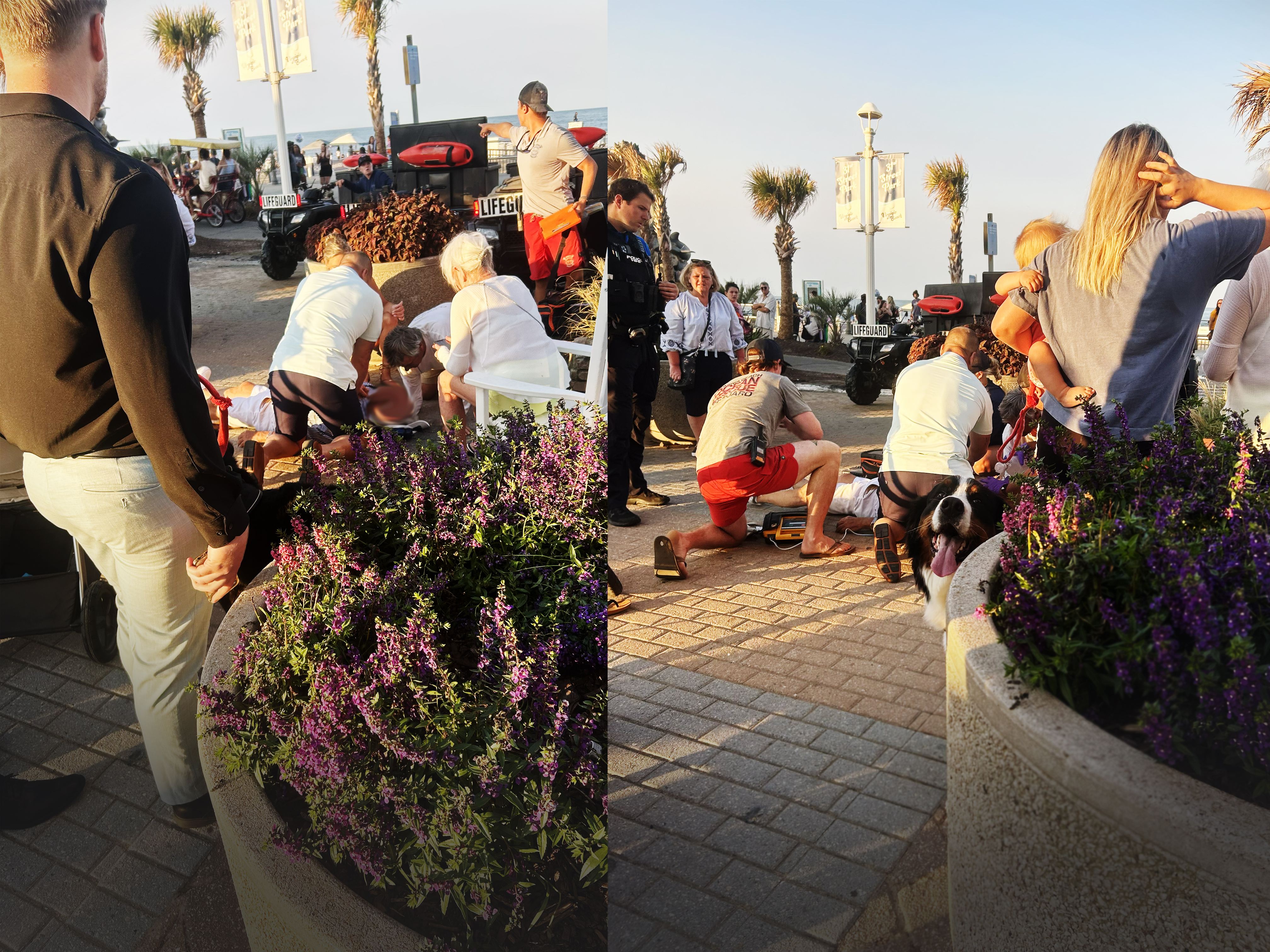 Anna-Yates Lipcsak photographed the emergency response as her husband continued CPR alongside Virginia Beach lifeguards and arriving first responders.