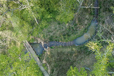 Reedy Creek from the air using a drone