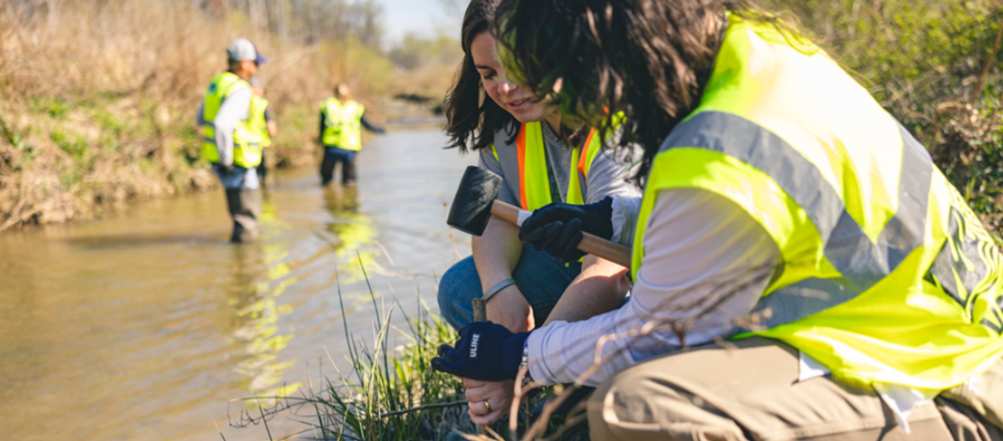 Volunteers cleaning up a creek.
