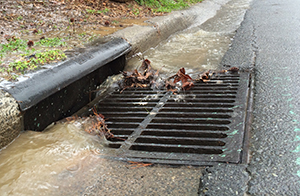 Catch Basin on the side of the street.