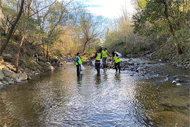 The Association of Sciences Cleanup