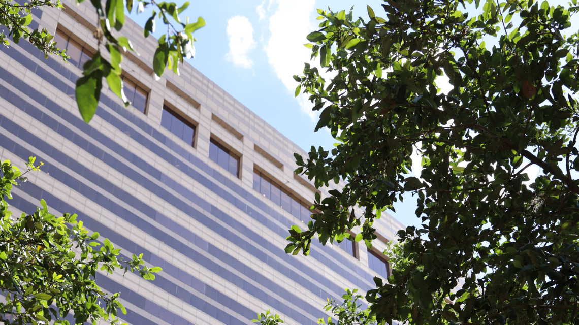 Close up of government center exterior against blue sky behind green leaves.