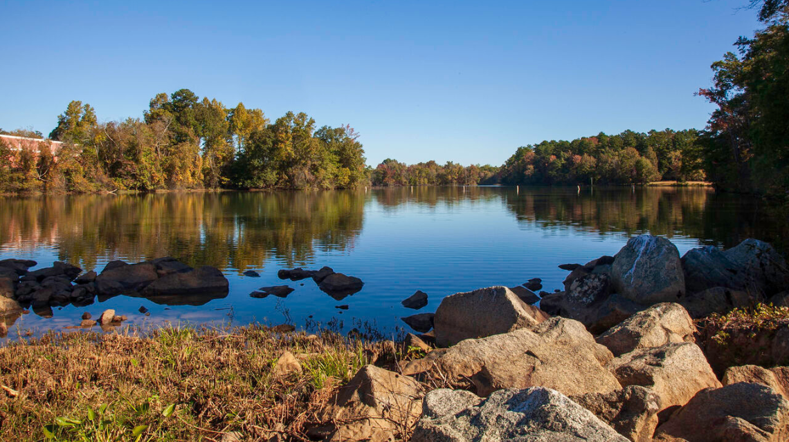 A body of water on a clear, sunny day. The foliage around it appears dry and brown.