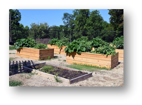 Raised bed garden