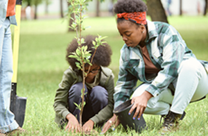 Two young girls planting a small tree together