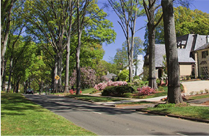 View of neighborhood