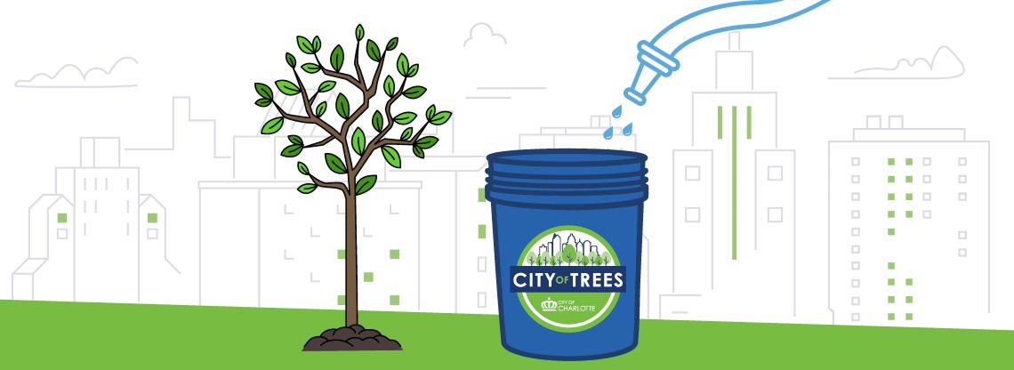 a colorful maple tree with a 5-gallon bucket on the ground next to it