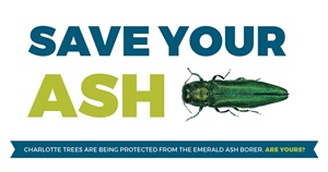 Save your ash marketing image