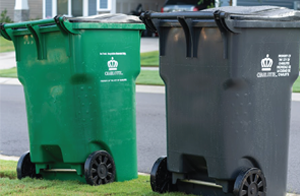 Trash and recycling bins on curb