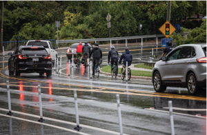Motorists and cyclists sharing the road