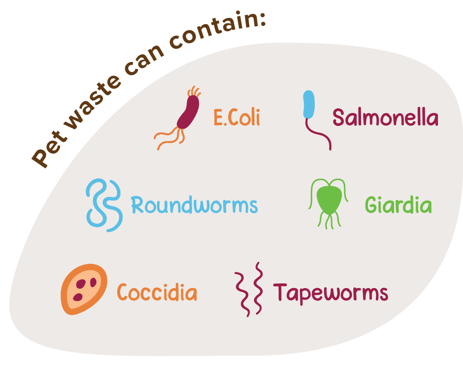 Pet waste can contain E. Coli, Salmonella, Roundworms, Giardia, Coccidia and Tapeworms.
